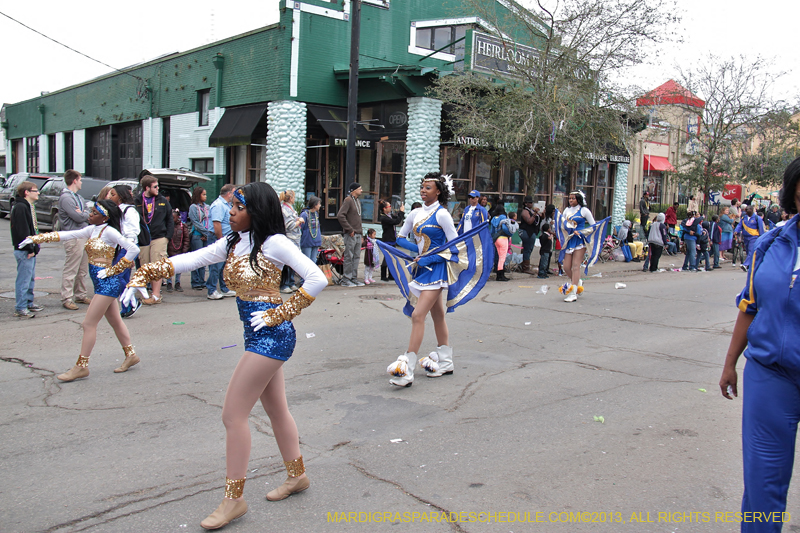 Krewe-of-Iris-2013-1121