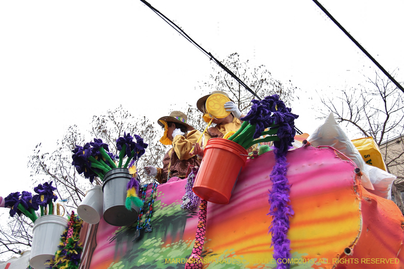 Krewe-of-Iris-2013-1223