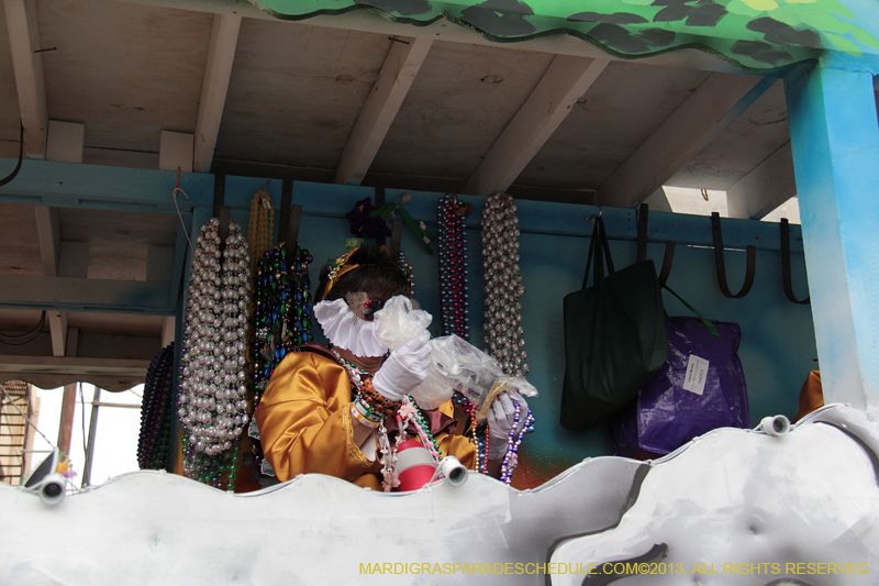 Krewe-of-Iris-2013-1304