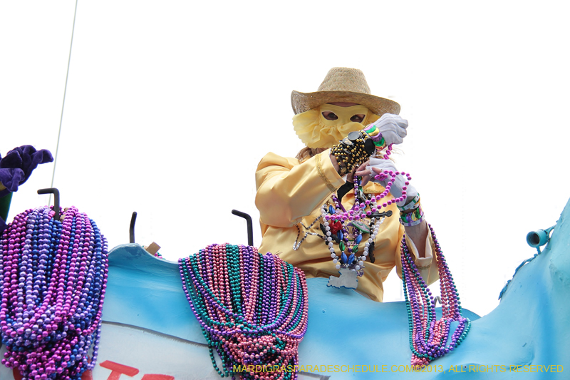 Krewe-of-Iris-2013-1345