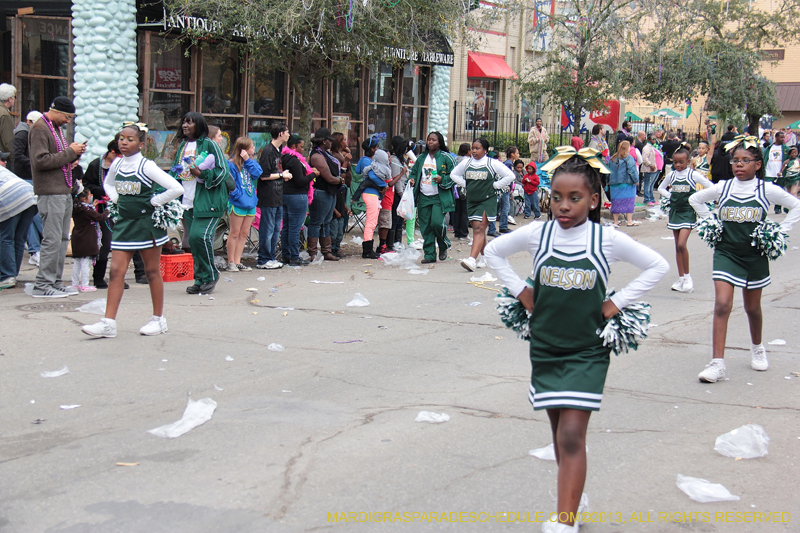 Krewe-of-Iris-2013-1370