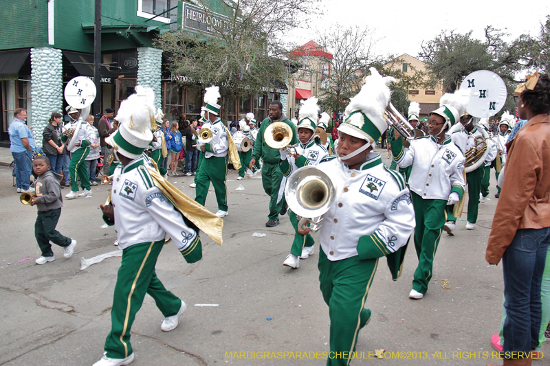 Krewe-of-Iris-2013-1376