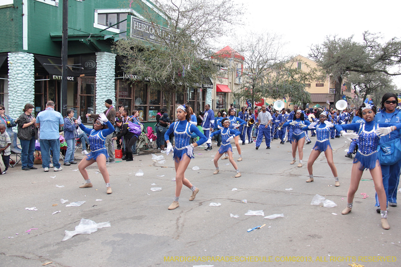 Krewe-of-Iris-2013-1394