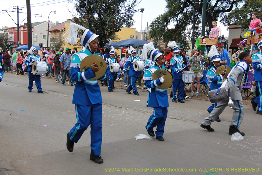 2014-Krewe-of-Iris-11136