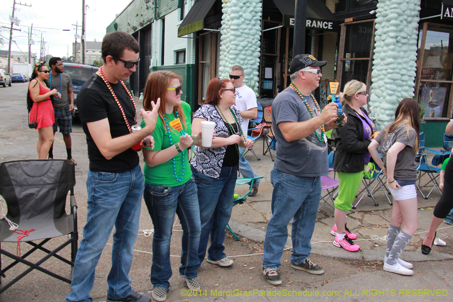 2014-Krewe-of-Iris-11137