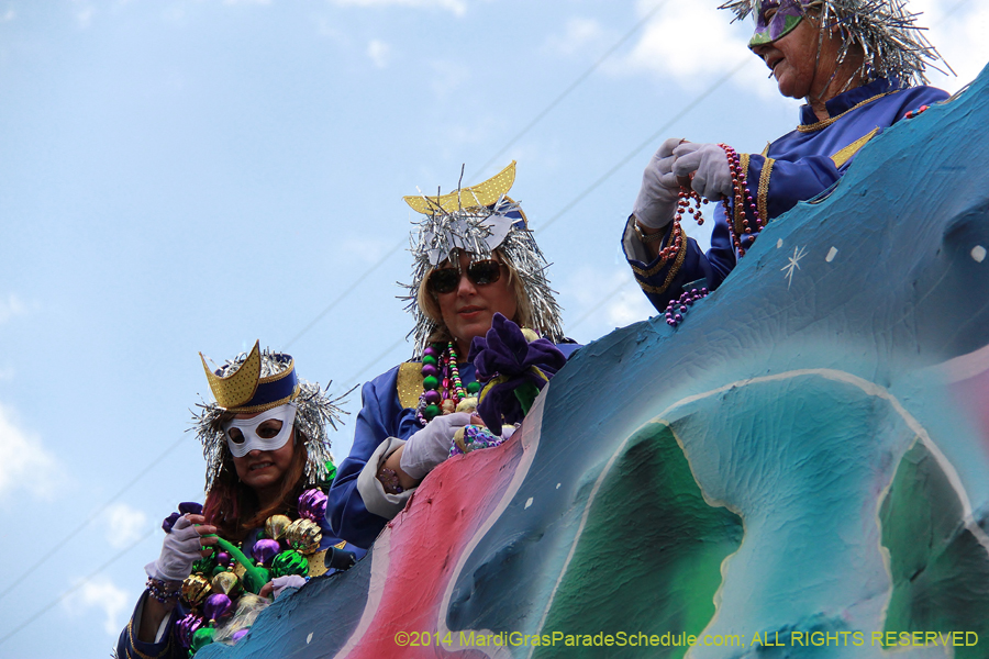 2014-Krewe-of-Iris-11143