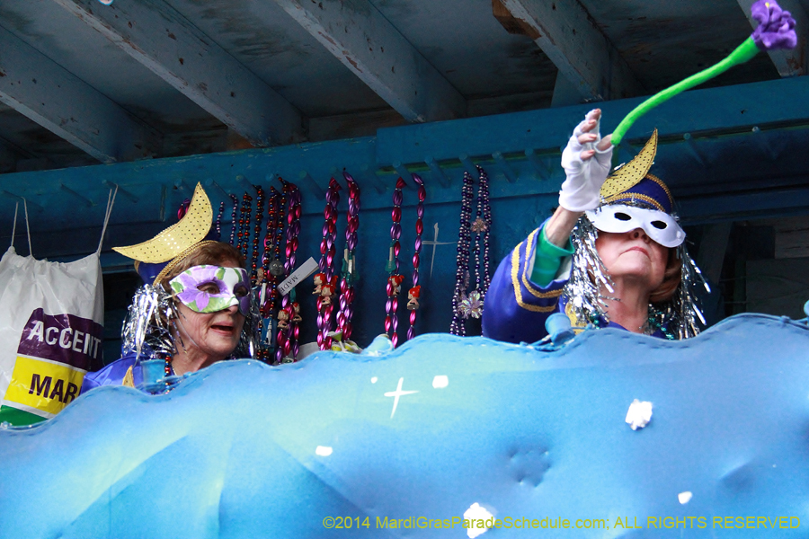 2014-Krewe-of-Iris-11145