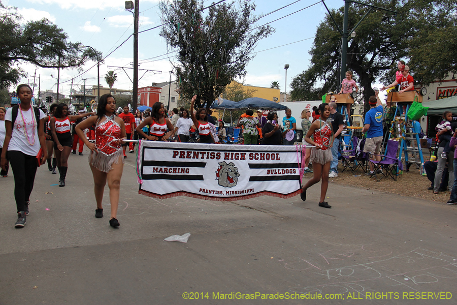 2014-Krewe-of-Iris-11148