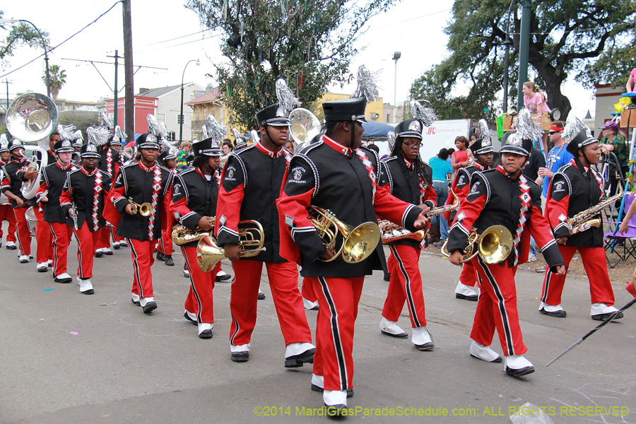 2014-Krewe-of-Iris-11150