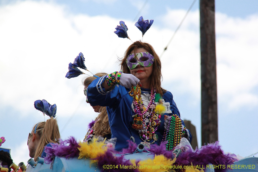 2014-Krewe-of-Iris-11153