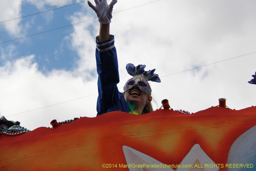 2014-Krewe-of-Iris-11156