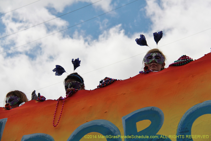 2014-Krewe-of-Iris-11157