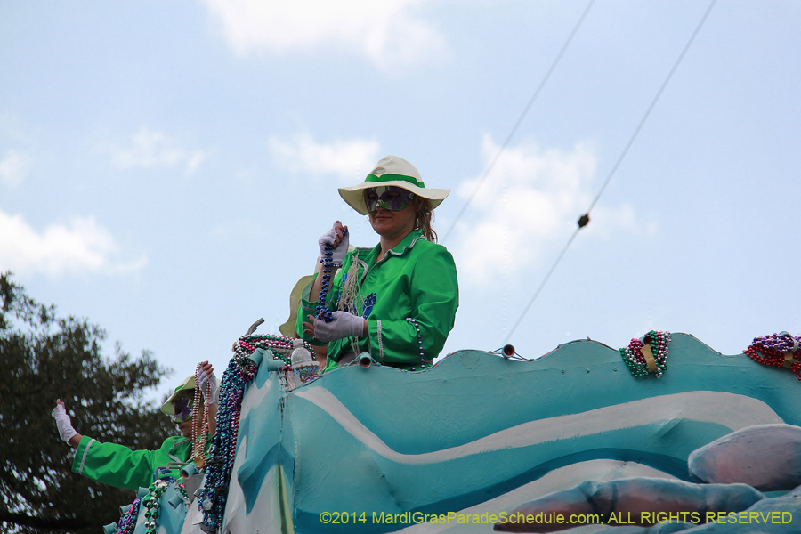 2014-Krewe-of-Iris-11169