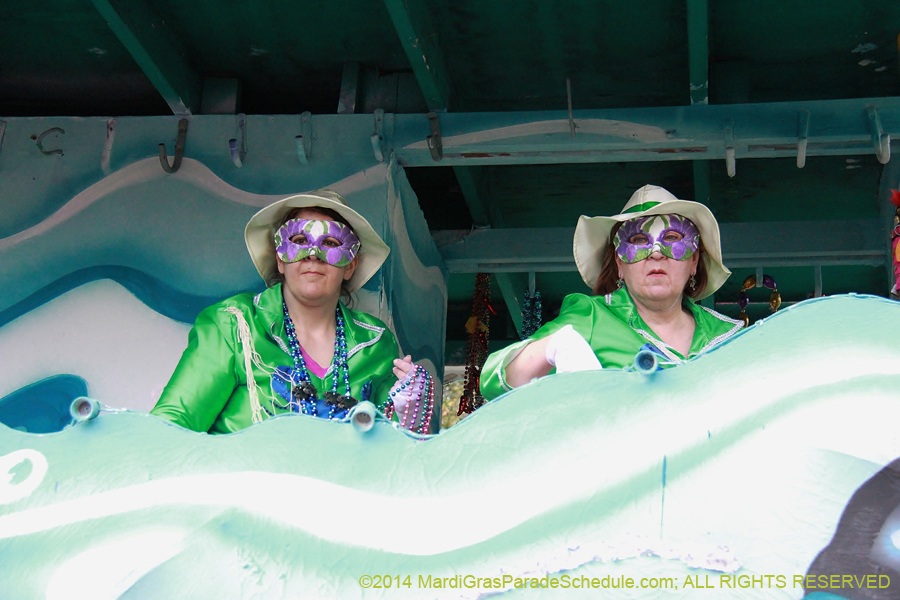 2014-Krewe-of-Iris-11172