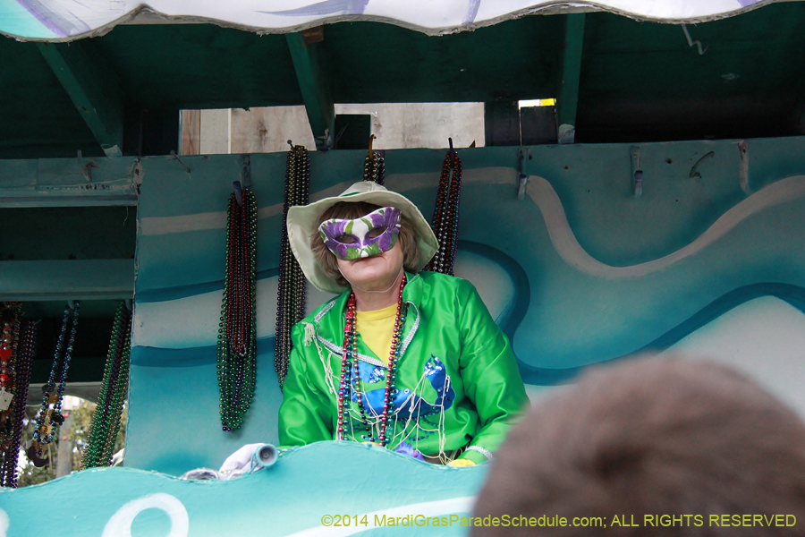 2014-Krewe-of-Iris-11173