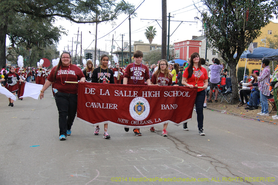 2014-Krewe-of-Iris-11175