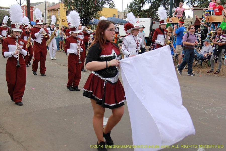 2014-Krewe-of-Iris-11176