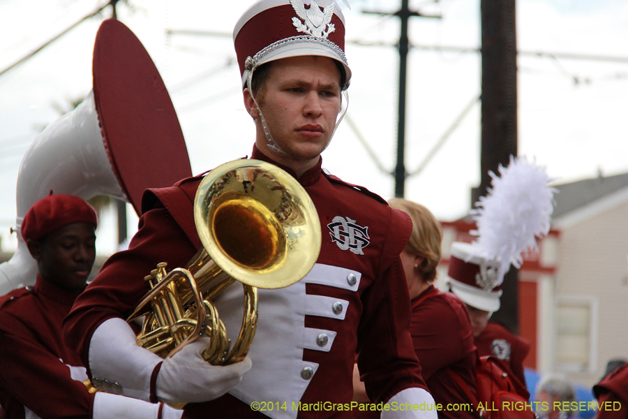 2014-Krewe-of-Iris-11178