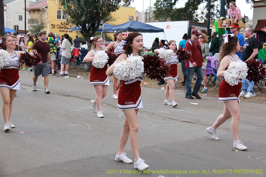 2014-Krewe-of-Iris-11181