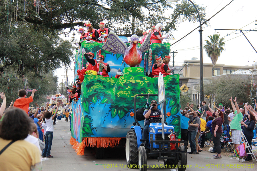 2014-Krewe-of-Iris-11182