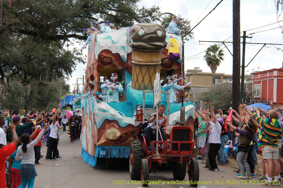 2014-Krewe-of-Iris-11236