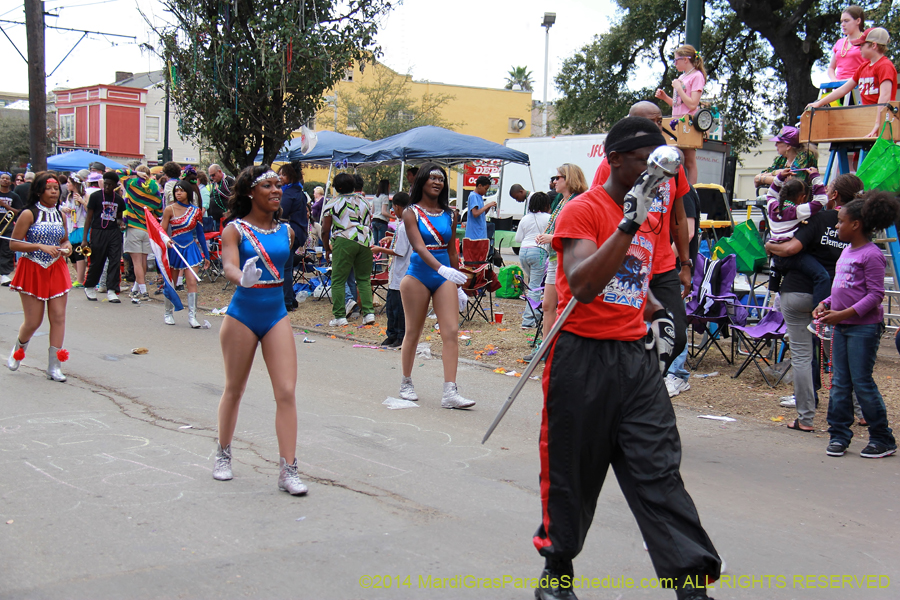 2014-Krewe-of-Iris-11245