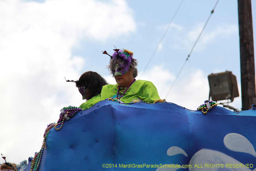 2014-Krewe-of-Iris-11249