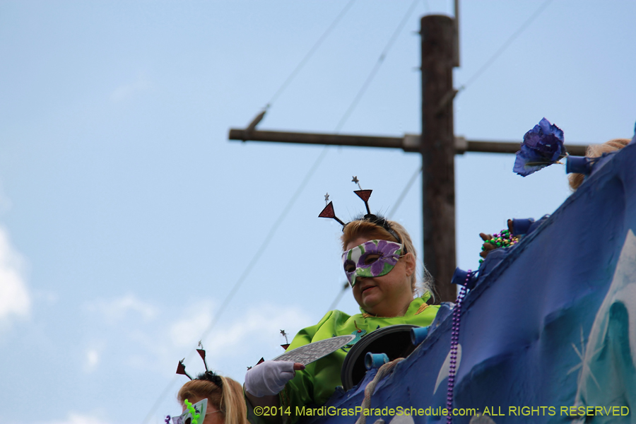 2014-Krewe-of-Iris-11251