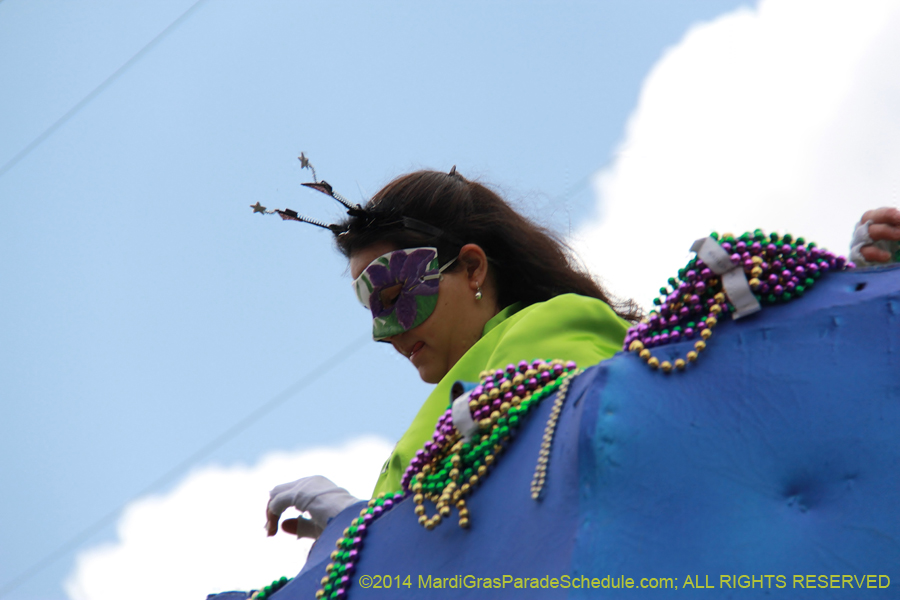 2014-Krewe-of-Iris-11252