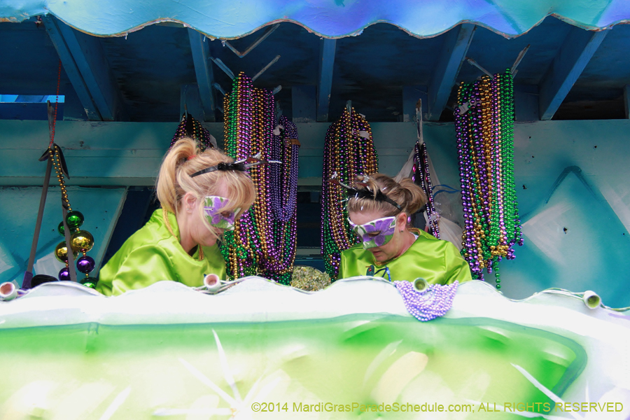 2014-Krewe-of-Iris-11255