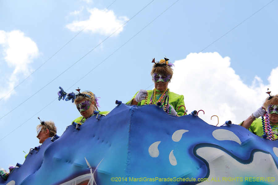 2014-Krewe-of-Iris-11258