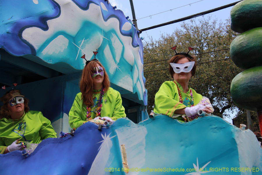 2014-Krewe-of-Iris-11259