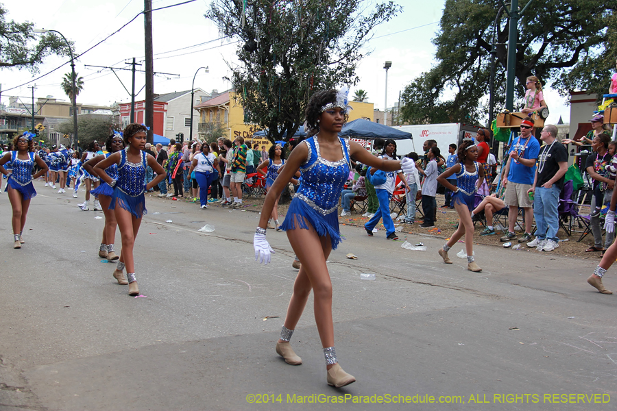 2014-Krewe-of-Iris-11267