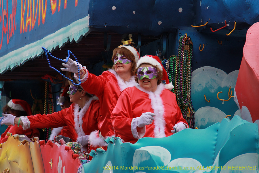 2014-Krewe-of-Iris-11270