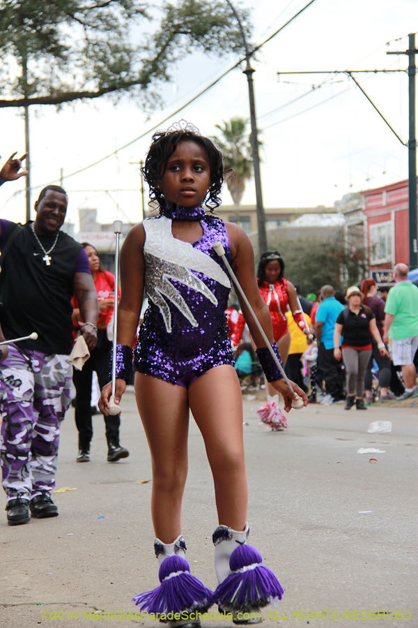 2014-Krewe-of-Iris-11280