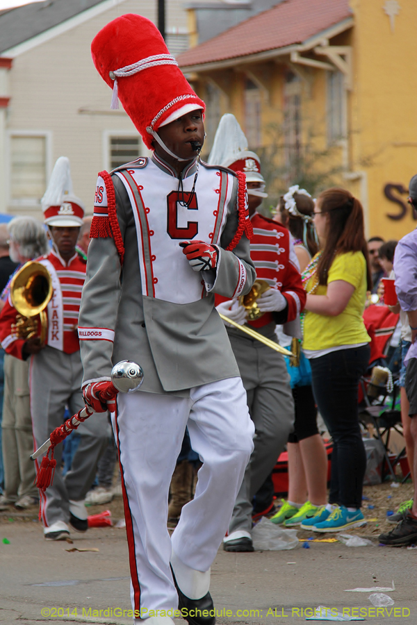 2014-Krewe-of-Iris-11282