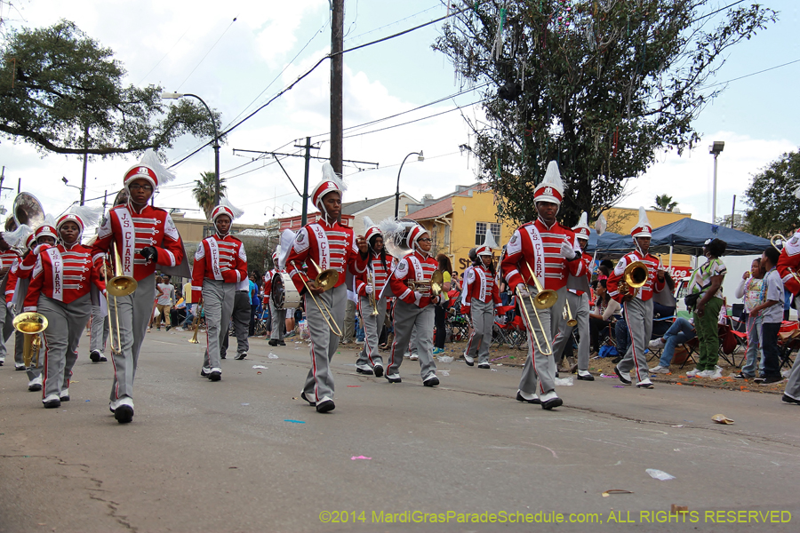 2014-Krewe-of-Iris-11283