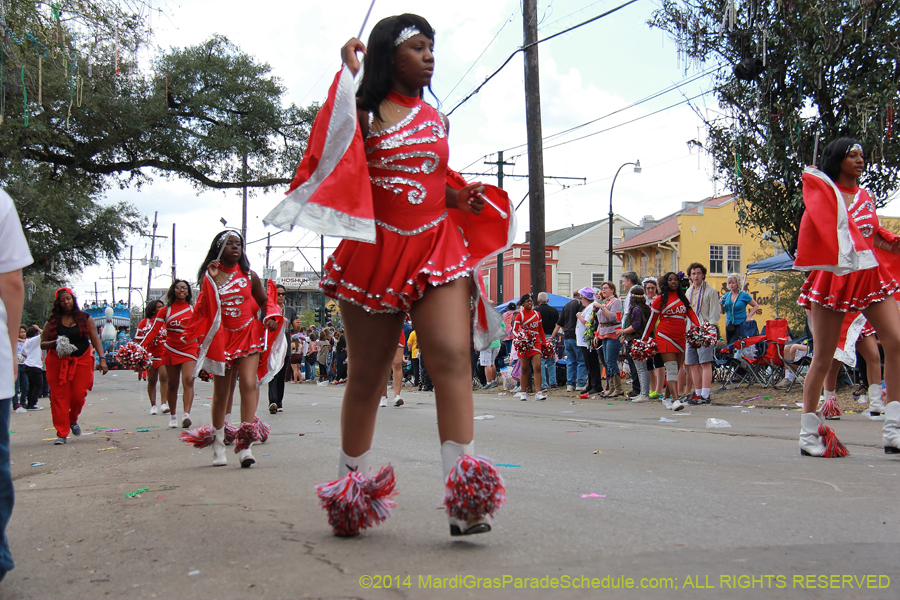 2014-Krewe-of-Iris-11286