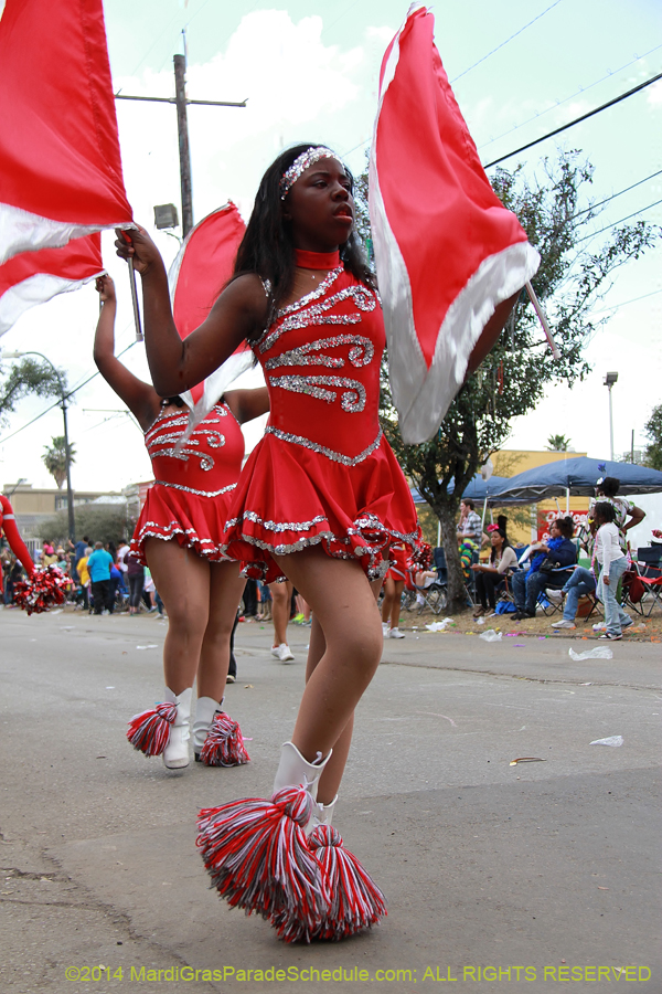 2014-Krewe-of-Iris-11287