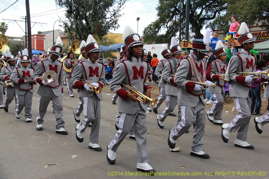 2014-Krewe-of-Iris-11303