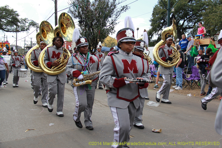 2014-Krewe-of-Iris-11304