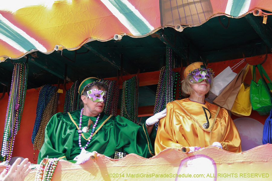 2014-Krewe-of-Iris-11312