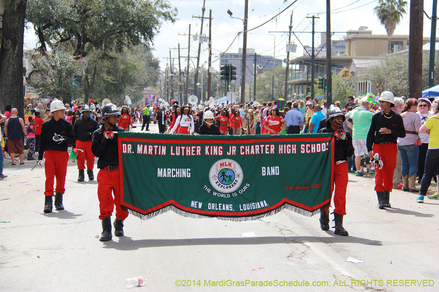 2014-Krewe-of-Iris-11316