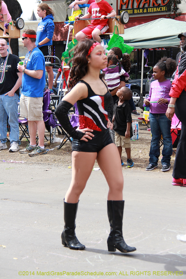 2014-Krewe-of-Iris-11320