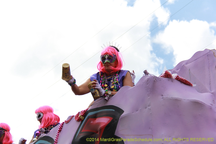 2014-Krewe-of-Iris-11341