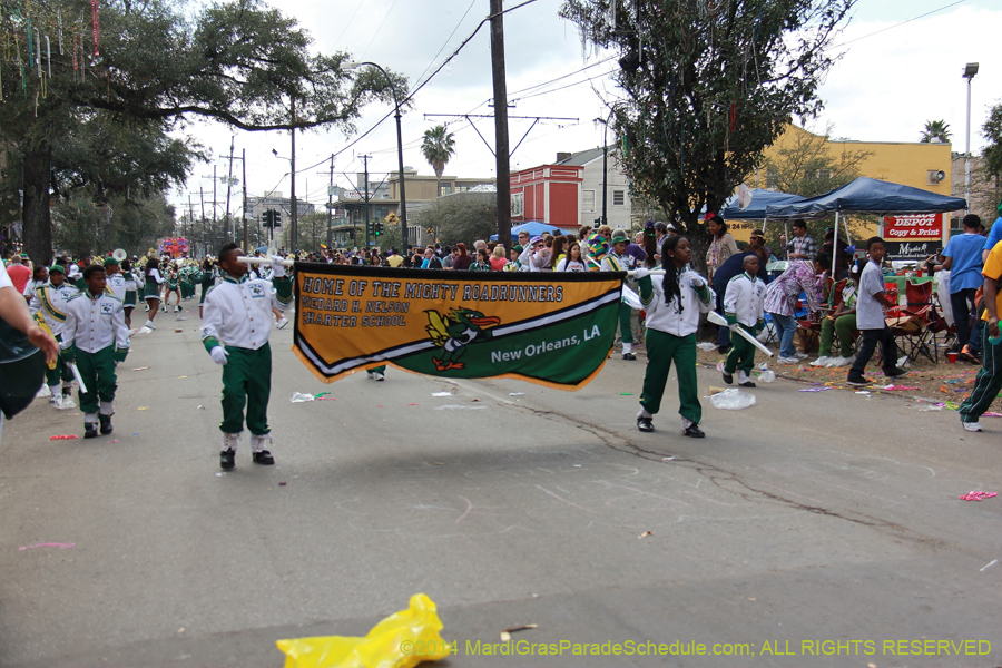 2014-Krewe-of-Iris-11347