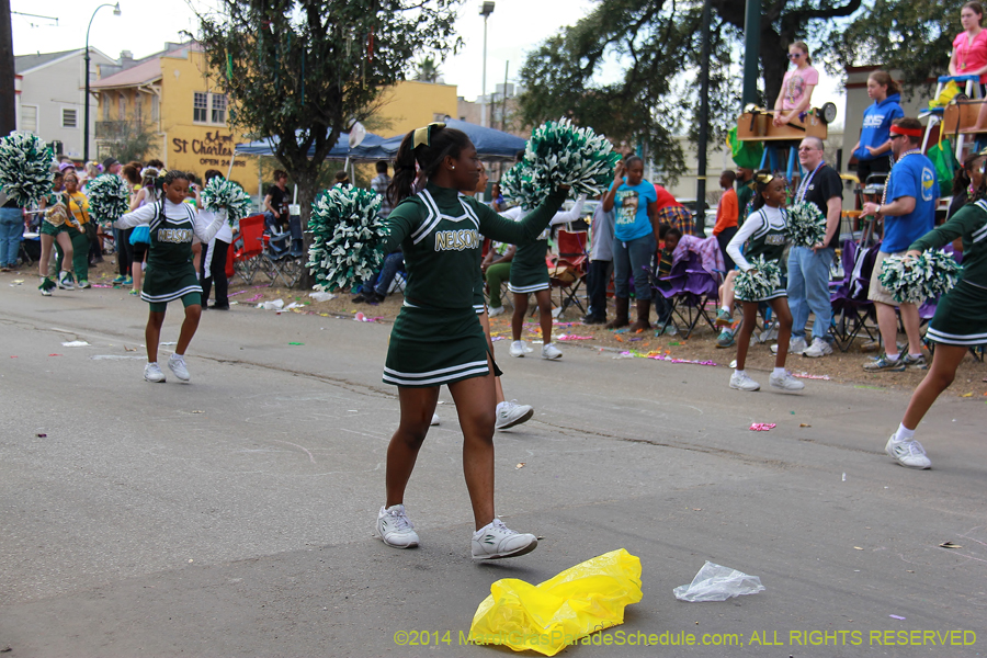 2014-Krewe-of-Iris-11349