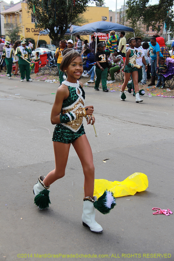 2014-Krewe-of-Iris-11350