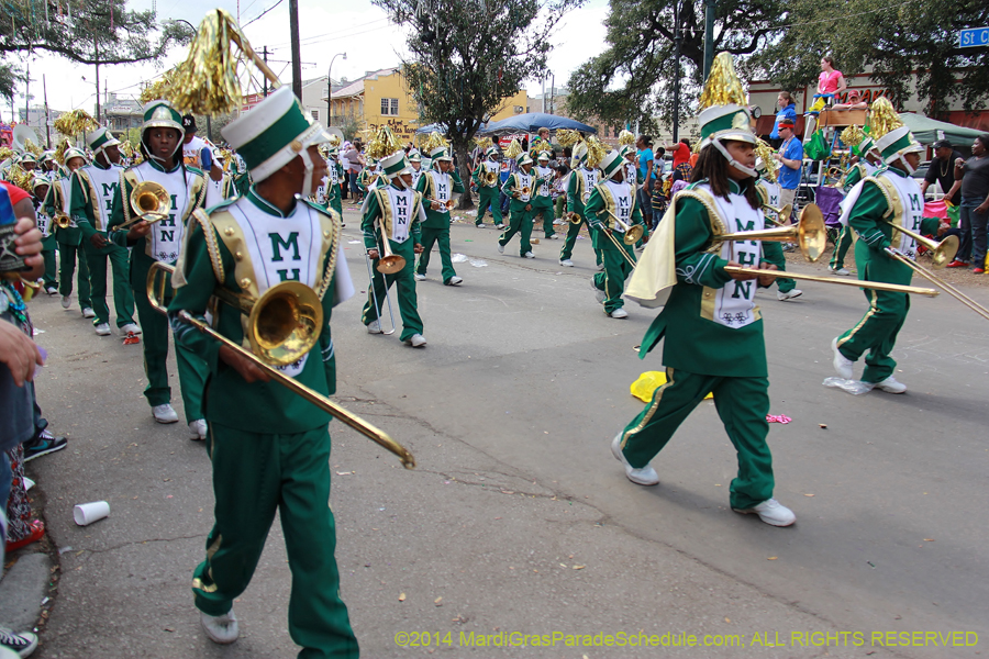 2014-Krewe-of-Iris-11351