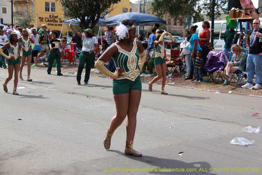 2014-Krewe-of-Iris-11353